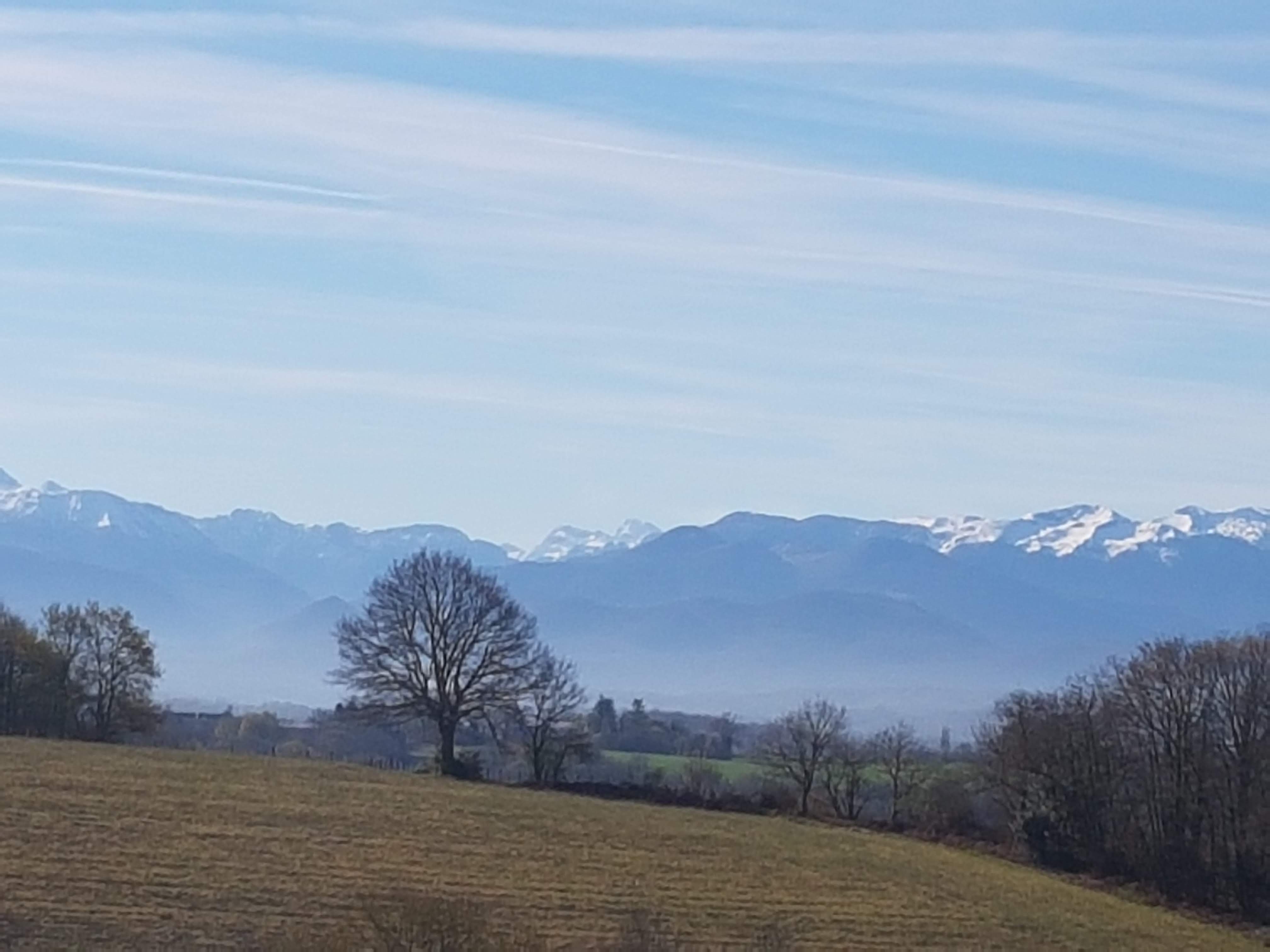 Photo n° 17 de l'avis de Christian.a fait le 03/05/2019 à 19:47