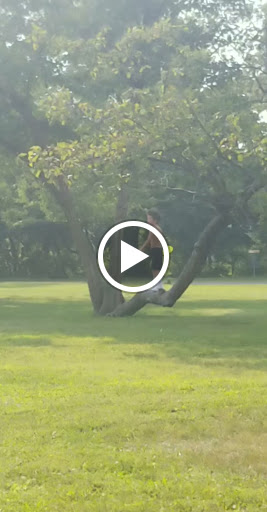 Community Center «Hawthorne Park Community Center», reviews and photos, 500 Ackerman Dr, Porter, IN 46304, USA