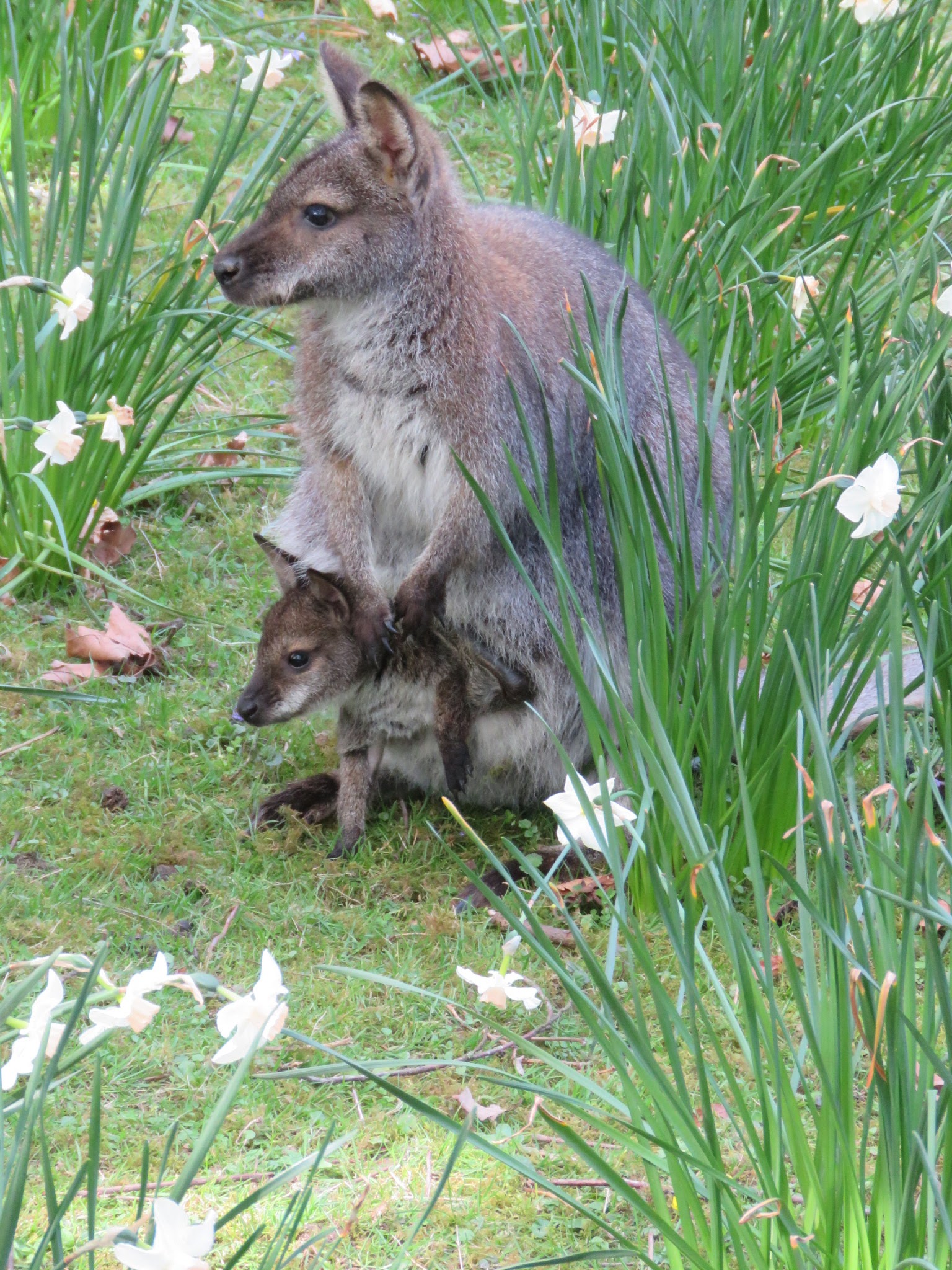Photo n° 5 de l'avis de Delphine.� fait le 17/04/2022 à 17:54