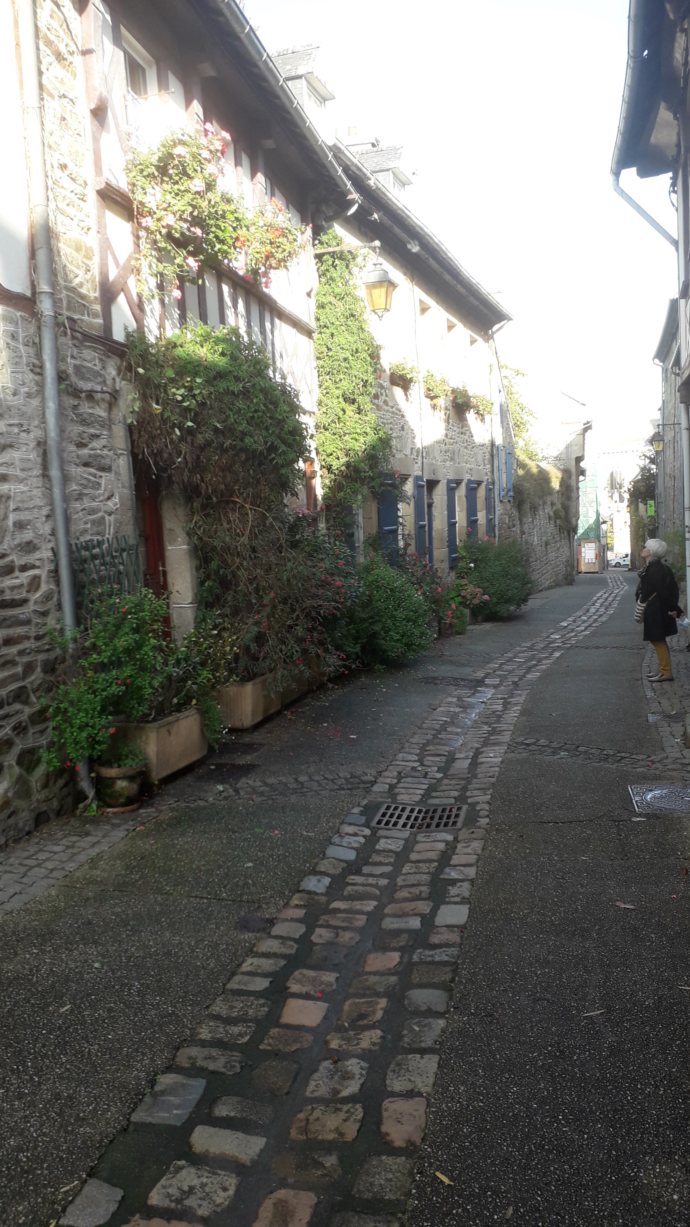 Photo n° 9 de l'avis de léon.e fait le 25/10/2021 à 16:05
