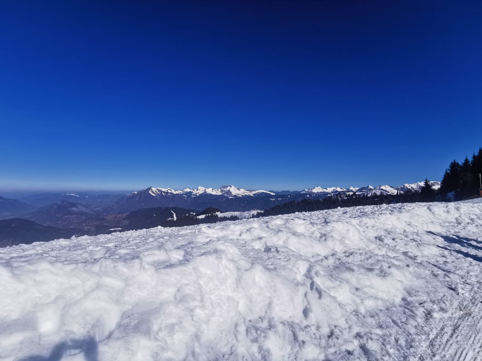Photo n° 2 de l'avis de Nell.o fait le 03/03/2023 à 16:13