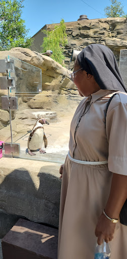 Zoo «Mesker Park Zoo», reviews and photos, 1545 Mesker Park Dr, Evansville, IN 47720, USA