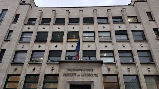 Université de Paris - Faculté de Sciences Humaines et Sociales