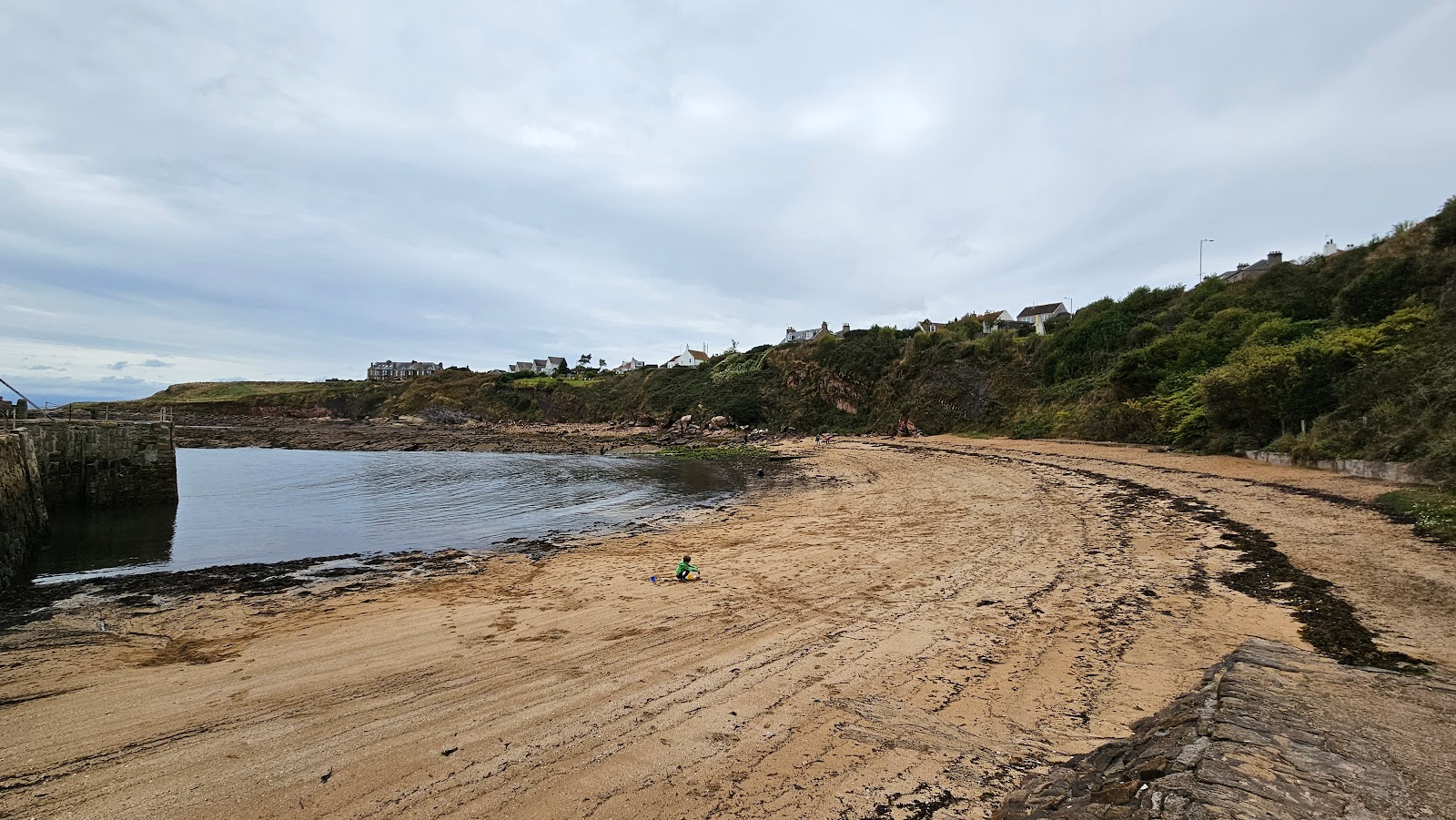 Crail Beach Fossils Beach'in fotoğrafı turkuaz saf su yüzey ile