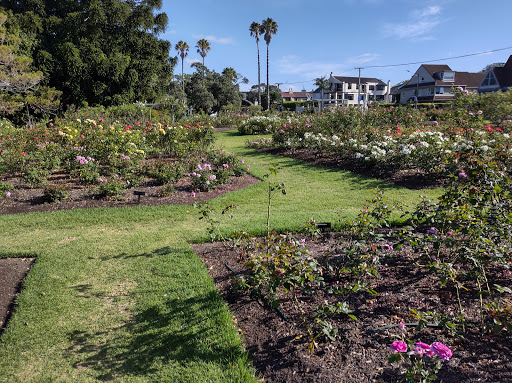 Dove Myer Robinson Park (Parnell Rose Garden)