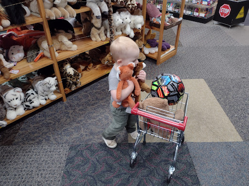 Toy Store «Dancing Bear Toys Ltd», reviews and photos, 418 N Main St, Hendersonville, NC 28792, USA