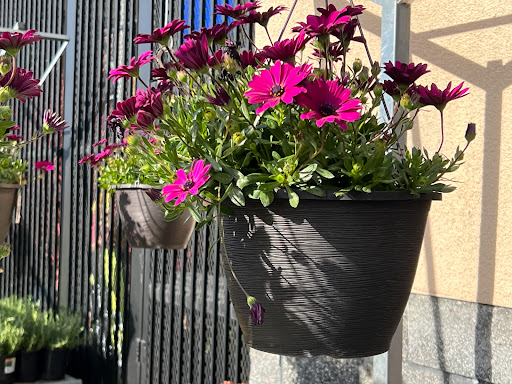 Home Improvement Store «The Home Depot», reviews and photos, 2750 Crow Canyon Rd, San Ramon, CA 94583, USA