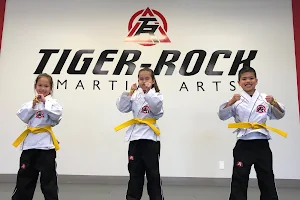 Tiger Rock Martial Arts image