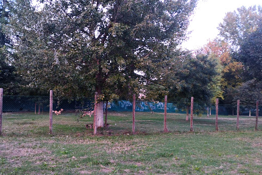Area cani nel parco dei Giacinti