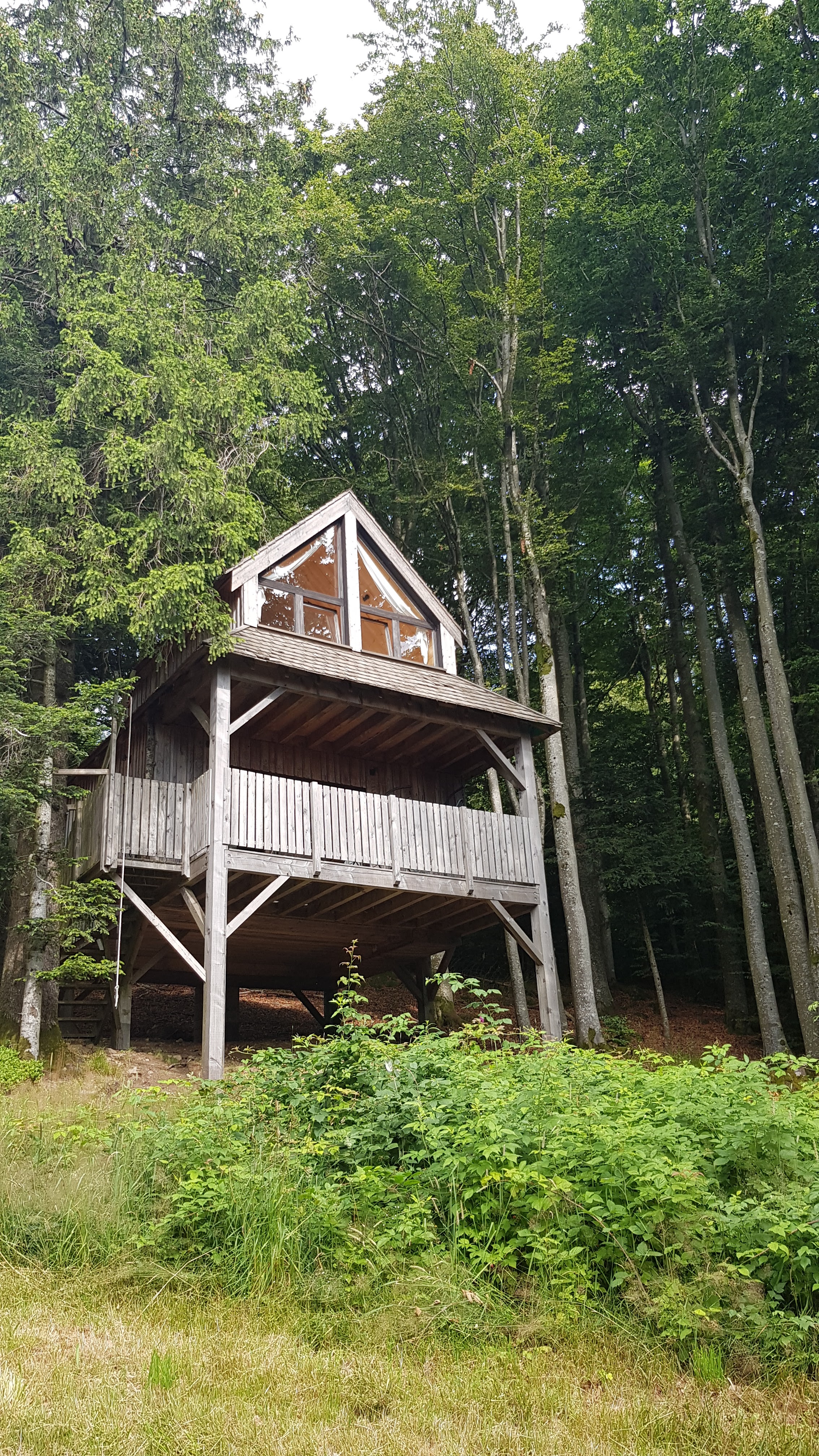 Photo n° 1 de l'avis de Famille.A fait le 23/07/2023 à 07:35