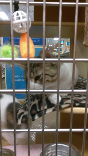 Pet Supply Store «PetSmart», reviews and photos, 300 N Congress Ave, Lake Park, FL 33403, USA