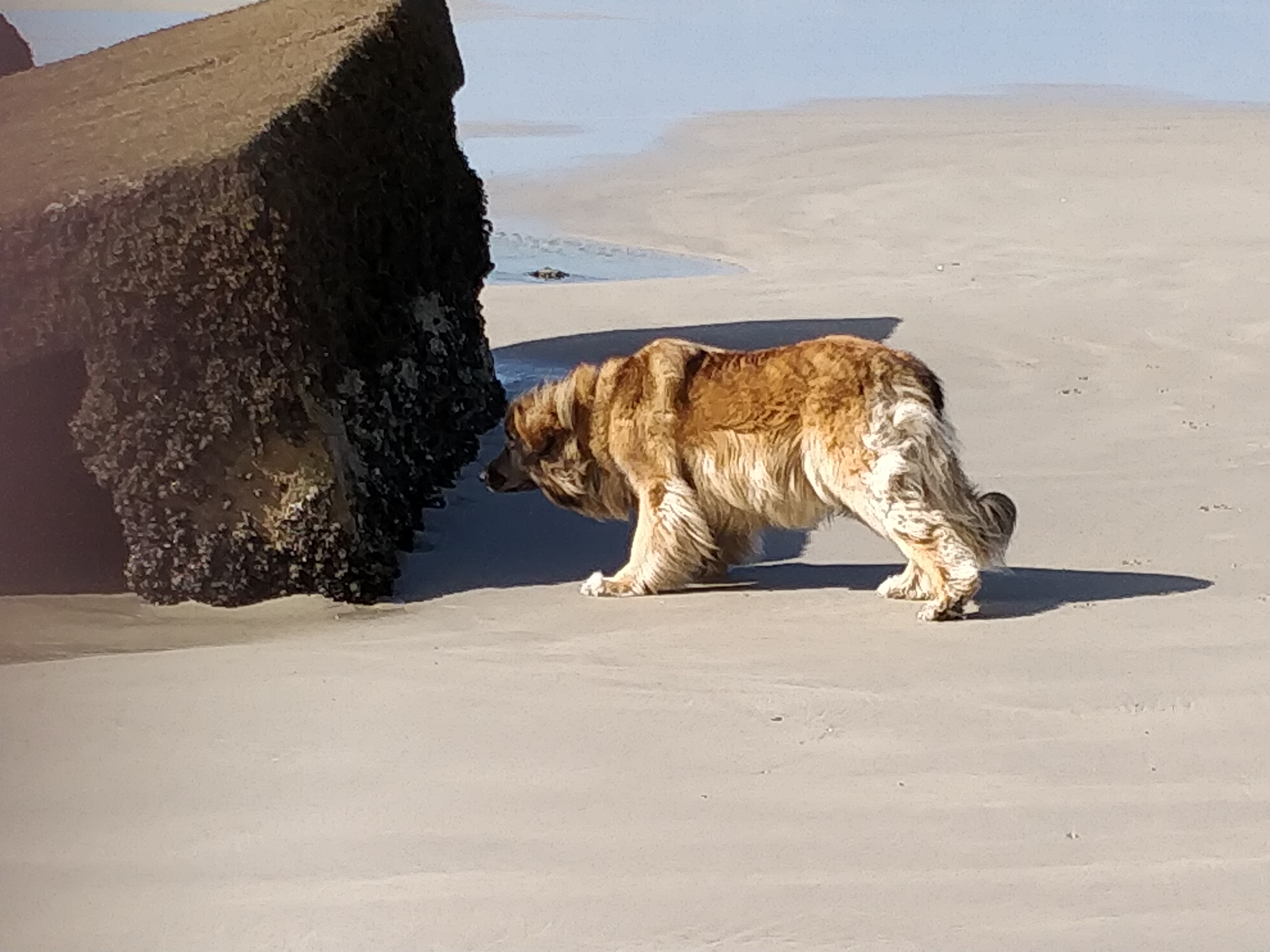 Photo n° 1 de l'avis de daniel.u fait le 16/10/2019 à 15:34