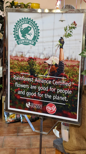 Supermarket «Big Y», reviews and photos, 700 S Main St #2, Great Barrington, MA 01230, USA