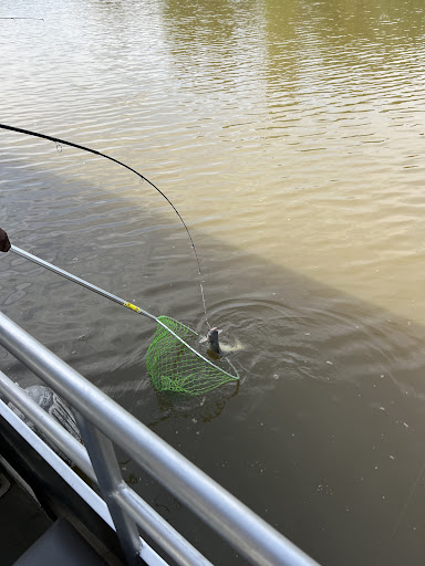 Boat Ramp «Bladensburg Waterfront Park», reviews and photos, 4601 Annapolis Rd, Bladensburg, MD 20710, USA