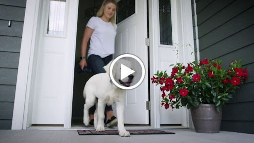 Credit Union «Superior Choice Credit Union», reviews and photos