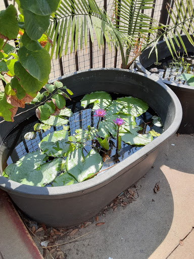 Pet Store «Fish-N-Pets Unlimited», reviews and photos, 11710 Bissonnet St, Houston, TX 77099, USA