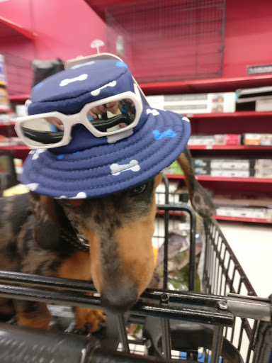 Pet Supply Store «Petco Animal Supplies», reviews and photos, 92 Cluff Crossing Rd, Salem, NH 03079, USA