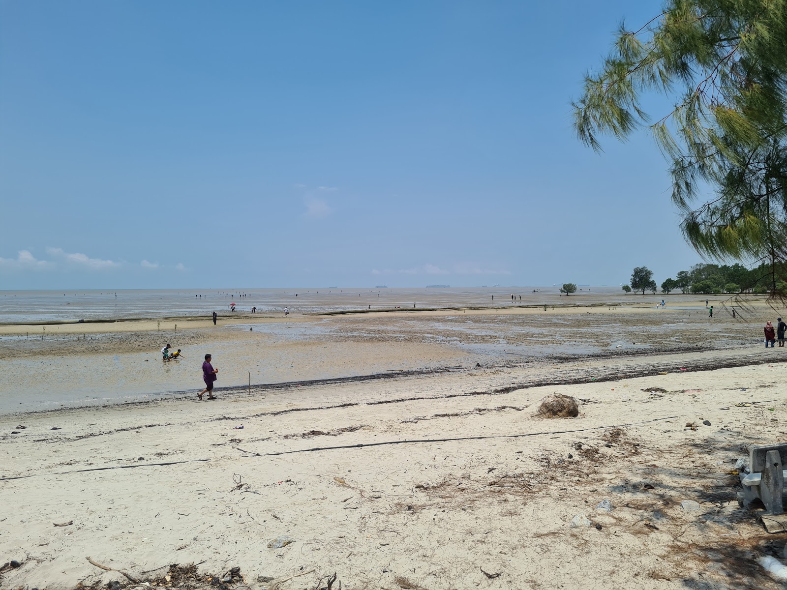 Kelanang Beach'in fotoğrafı geniş bir kıyı şeridi ile birlikte