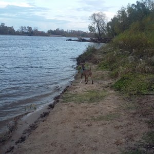 Charles and Marie Hamel Memorial Park - photo 53