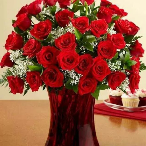 Night Club «Club Marcella», reviews and photos, 439 Pearl St, Buffalo, NY 14202, USA