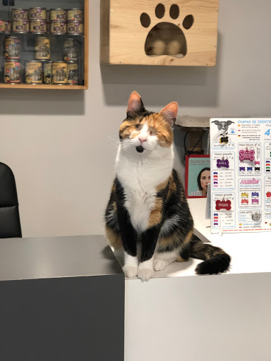 Clínica Veterinaria Monvet en Mislata