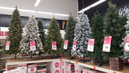 Discount Store «Big Lots», reviews and photos, 3333 Preston Rd #700, Frisco, TX 75034, USA