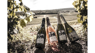 Champagne Jupin et Fils à Ludes