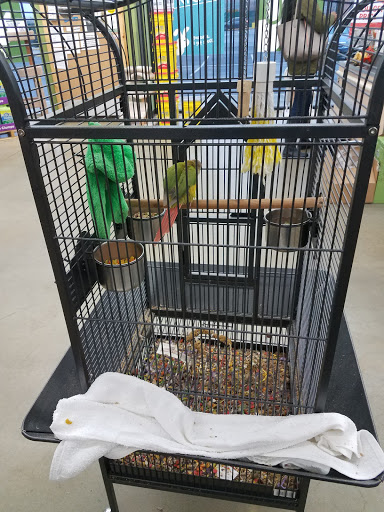 Pet Supply Store «Pet Supplies Plus», reviews and photos, 135-25 79th St, Howard Beach, NY 11414, USA