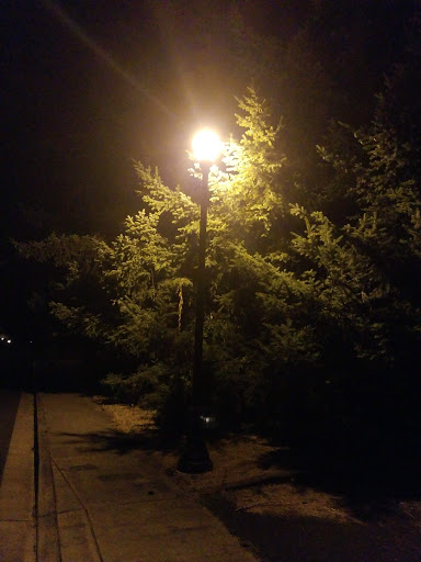 Golf Club «Emerald Valley Golf Club», reviews and photos, 83301 Dale Kuni Rd, Creswell, OR 97426, USA