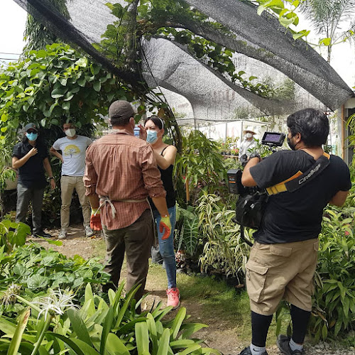 Vivero Acuarela del Río - Centro de jardinería