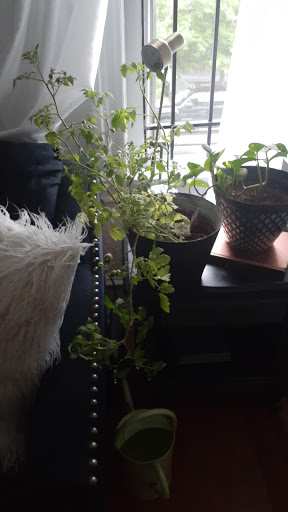 Hardware Store «Fairmount Hardware», reviews and photos, 2011 Fairmount Ave, Philadelphia, PA 19130, USA