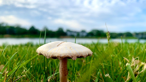 Park «Spring Lake Park», reviews and photos, 396 Springlake Ln, Aurora, IL 60504, USA