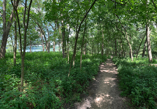 Nature Preserve «Pulaski Woods East», reviews and photos, 9600 Wolf Rd, Willow Springs, IL 60480, USA