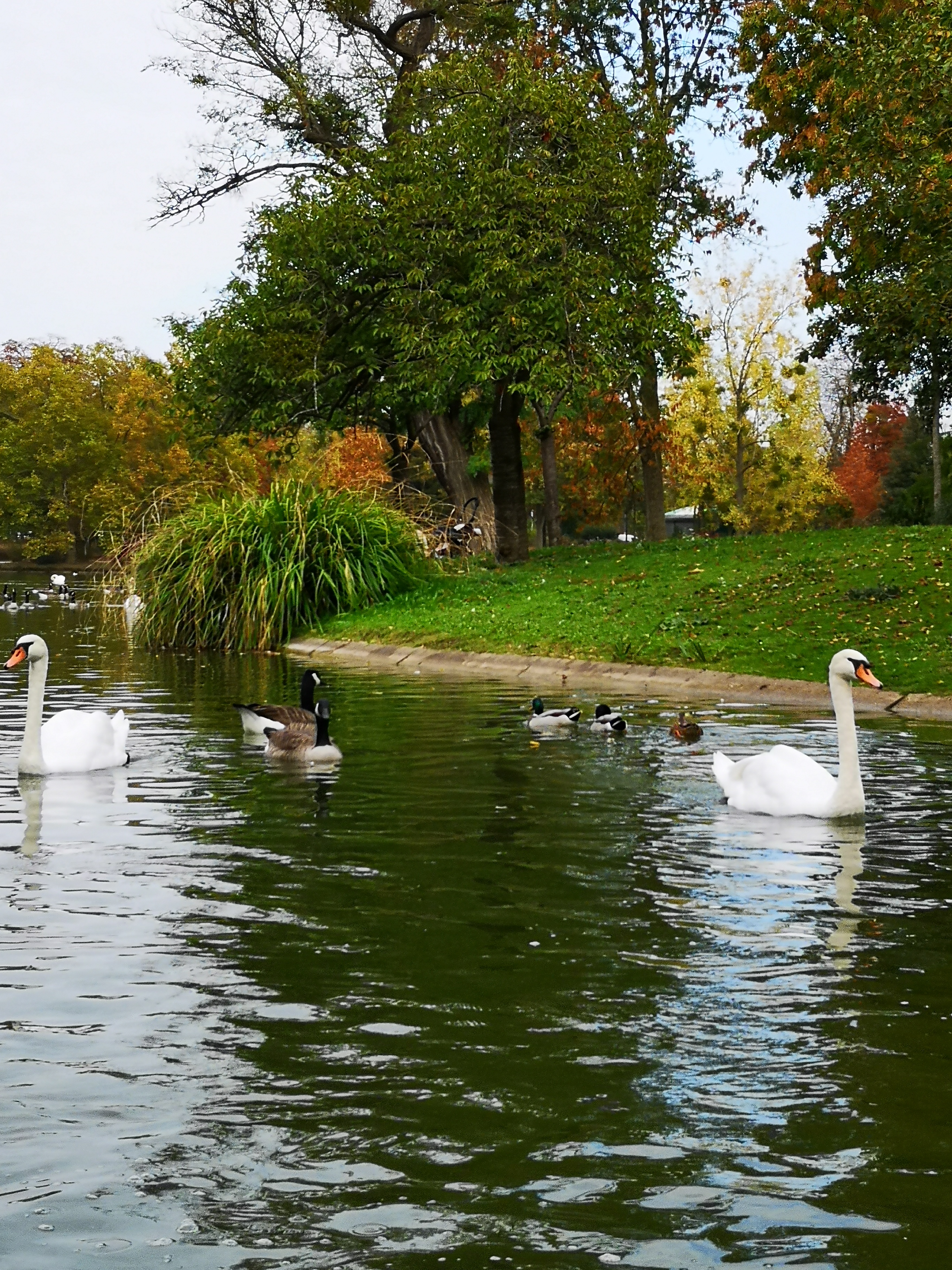 Photo n° 3 de l'avis de Dr..o fait le 26/10/2018 à 18:14