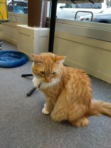 Book Store «The Book Bin», reviews and photos, 450 Court St NE, Salem, OR 97301, USA