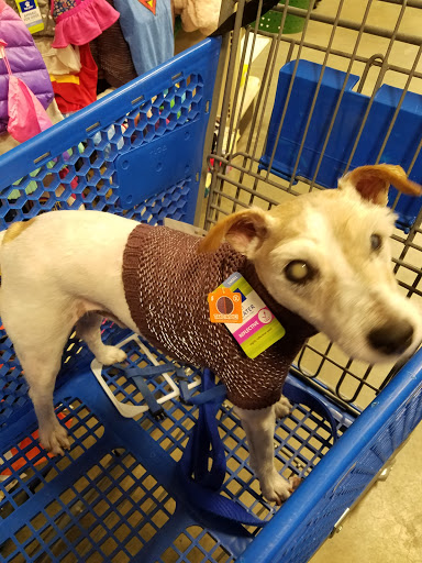 Pet Supply Store «PetSmart», reviews and photos, 105 E N Pointe Dr, Salisbury, MD 21804, USA