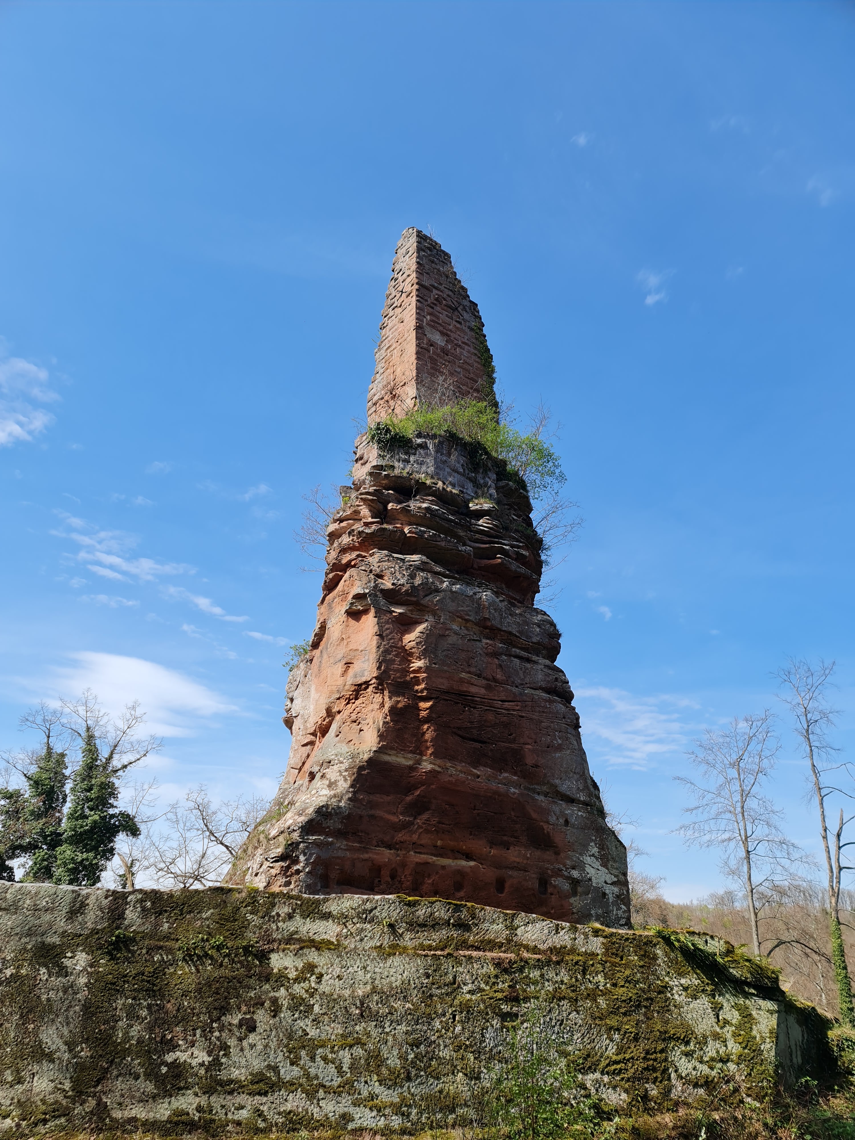 Photo n° 26 de l'avis de Roland.y fait le 23/04/2023 à 08:05