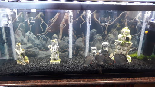 Gold Dealer «Gold and Silver Traders», reviews and photos, 7606 S Tacoma Way, Tacoma, WA 98409, USA