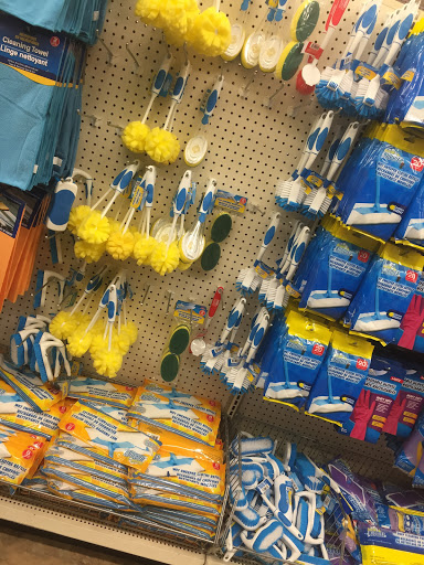 Dollar Store «Dollar Tree», reviews and photos, 1243 E Higgins Rd, Schaumburg, IL 60173, USA