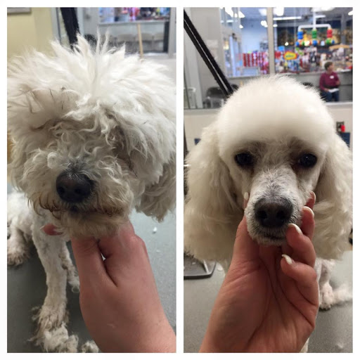 Pet Supply Store «Petco Animal Supplies», reviews and photos, 8909 Branch Ave d, Clinton, MD 20735, USA