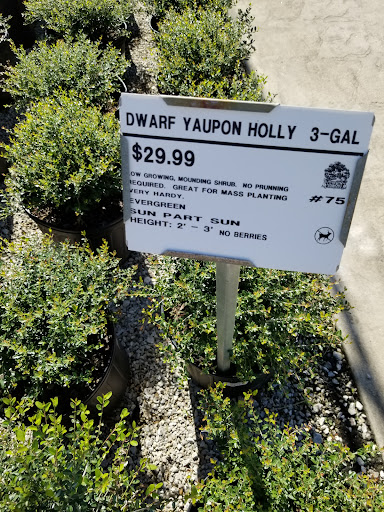 Plant Nursery «Guerin Nursery and Boutique», reviews and photos, 1418 Fall Creek Hwy, Granbury, TX 76049, USA