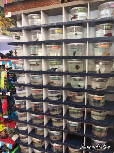 Pet Supply Store «Petco Animal Supplies», reviews and photos, 48 Watertower Plaza, Leominster, MA 01453, USA