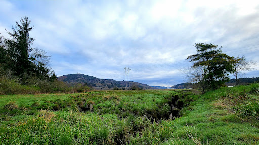 Willapa Hills Trailhead