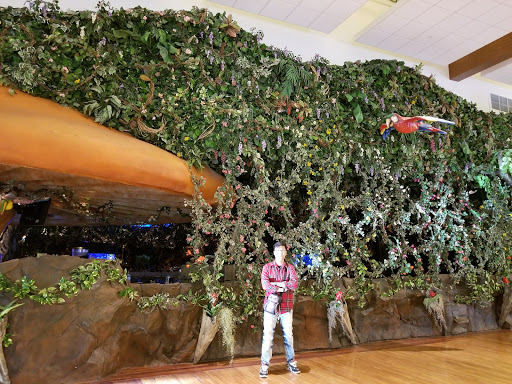 Outlet Store «Express Factory Outlet», reviews and photos, 3000 Grapevine Mills Pkwy, Grapevine, TX 76051, USA