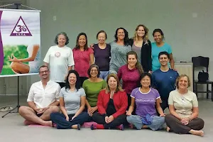 IYTA - Associação Internacional dos Professores de Yoga do Brasil image