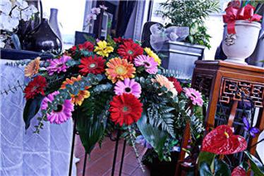 Patricia Christina's Flowers