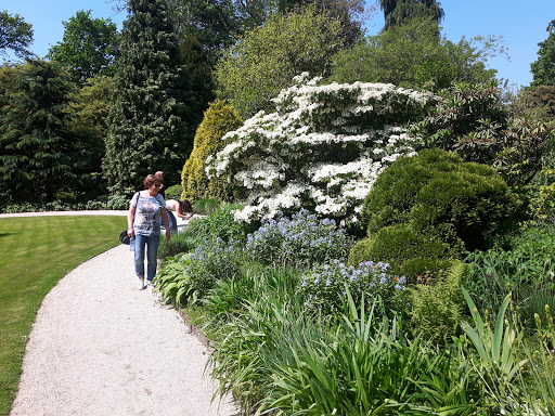 Trompenburg Tuinen & Arboretum