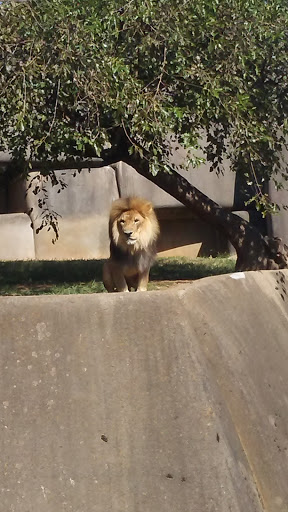 Nature Preserve «Jefferson Memorial Forest», reviews and photos, 11311 Mitchell Hill Rd, Fairdale, KY 40118, USA