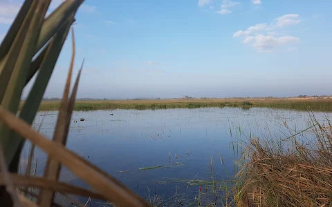 El Sied Pond image