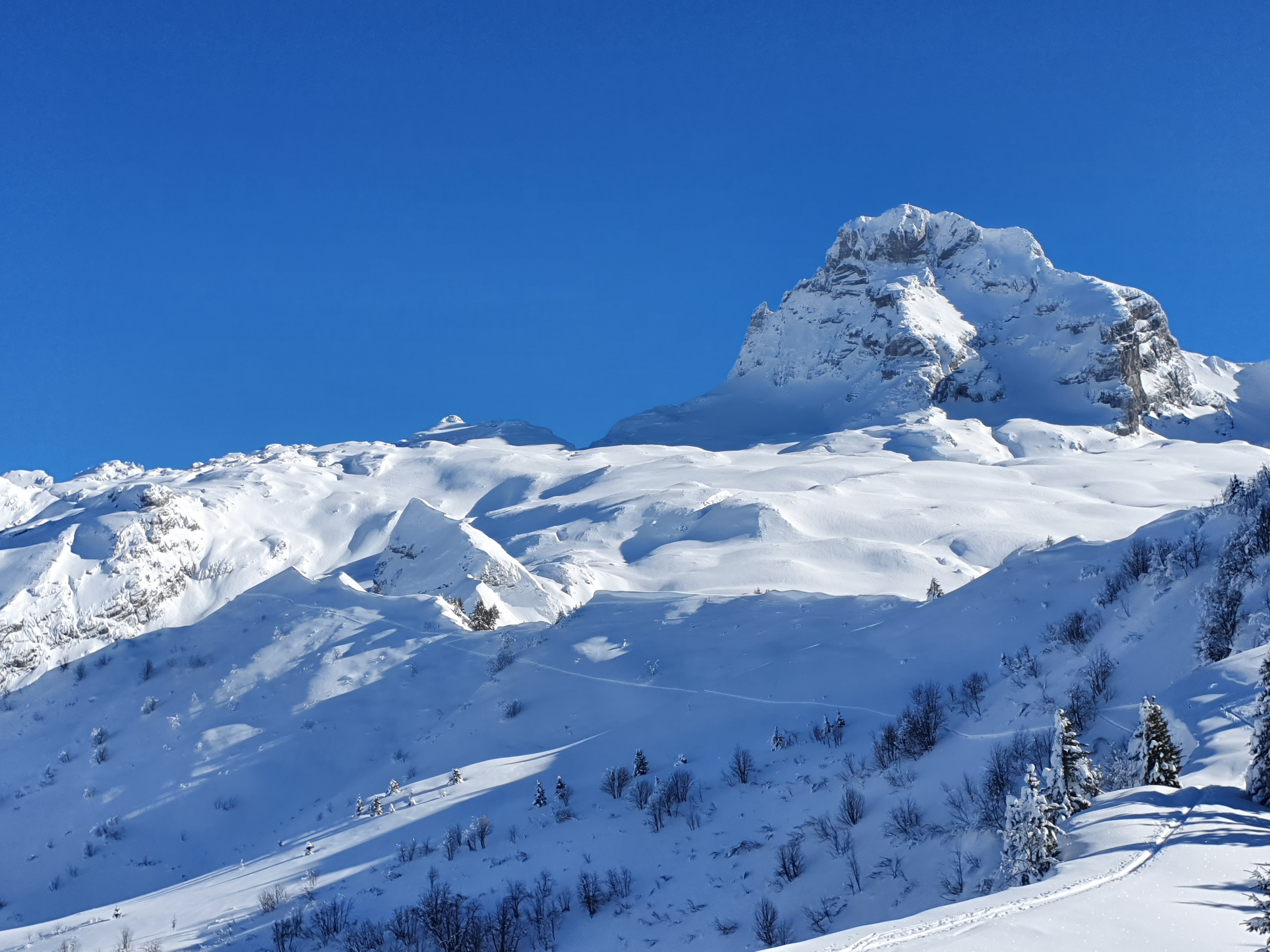 Photo n° 2 de l'avis de Olivier.a fait le 14/01/2024 à 17:51